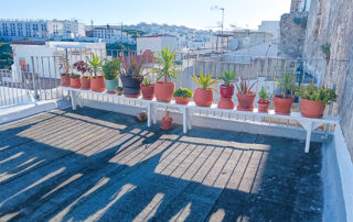 ejer-de-la-frontera-andalusia-espana-appartement_azotea-8